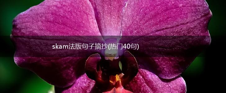 skam法版句子摘抄(热门40句),第1张