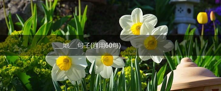 ___地___句子(通用60句),第1张