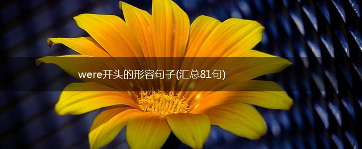 were开头的形容句子(汇总81句),第1张