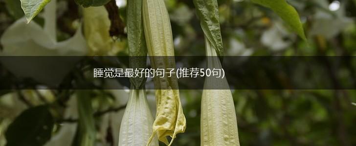 睡觉是最好的句子(推荐50句),第1张