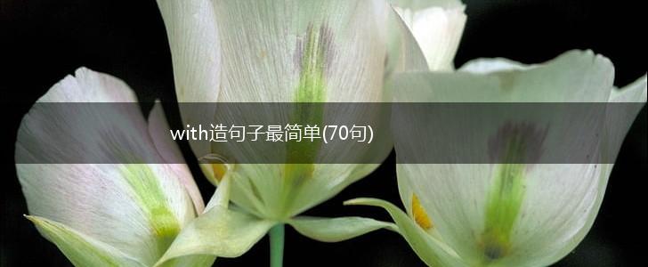 with造句子最简单(70句),第1张