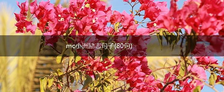 mc小洲励志句子(80句),第1张