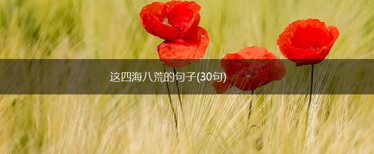这四海八荒的句子(30句),第1张