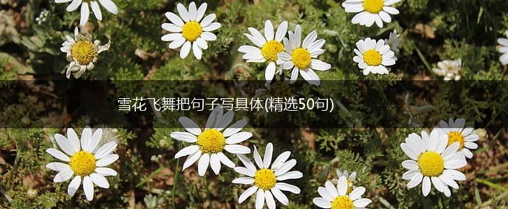 雪花飞舞把句子写具体(精选50句),第1张