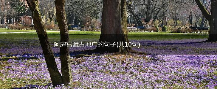 阿房宫赋占地广的句子(共10句),第1张