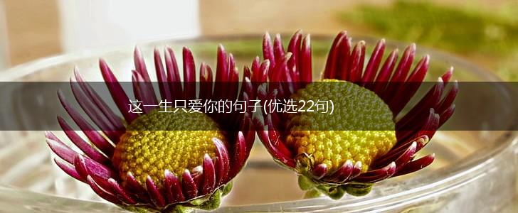 这一生只爱你的句子(优选22句),第1张