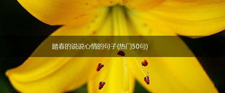 踏春的说说心情的句子(热门50句),第1张