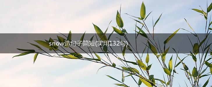snow造句子简短(实用132句),第1张