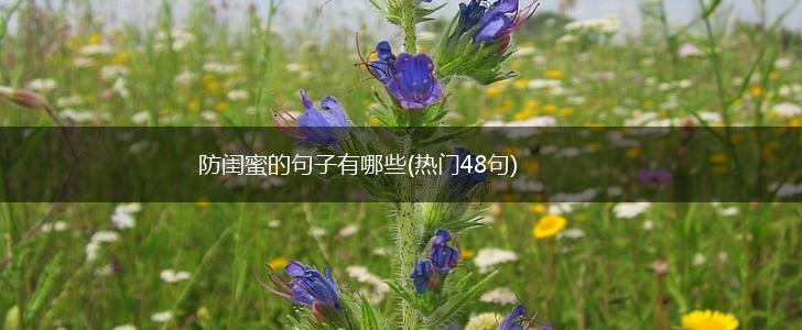 防闺蜜的句子有哪些(热门48句),第1张