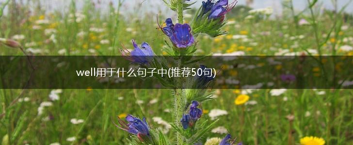 well用于什么句子中(推荐50句),第1张