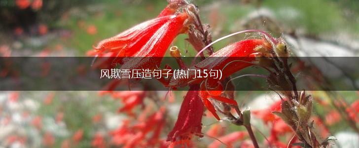 风欺雪压造句子(热门15句),第1张