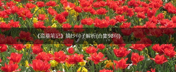 《盗墓笔记》摘抄句子解析(合集98句),第1张