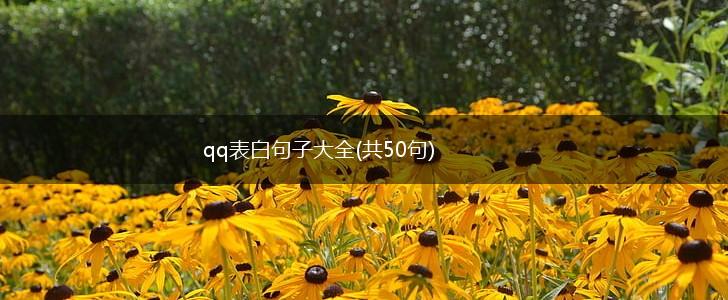 qq表白句子大全(共50句),第1张