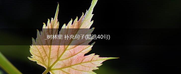 _树林里 补充句子(精选40句),第1张