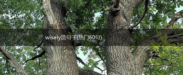 wisely造句子(热门60句),第1张
