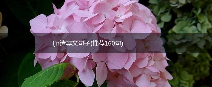ljn造英文句子(推荐160句),第1张