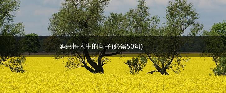 酒感悟人生的句子(必备50句),第1张