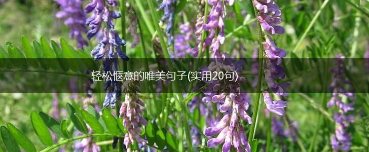 轻松惬意的唯美句子(实用20句),第1张
