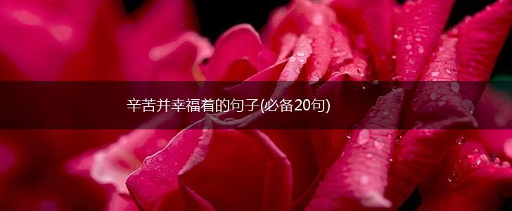 辛苦并幸福着的句子(必备20句),第1张