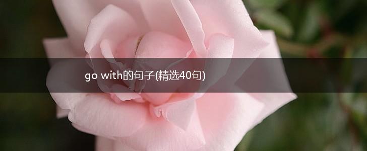 go with的句子(精选40句),第1张
