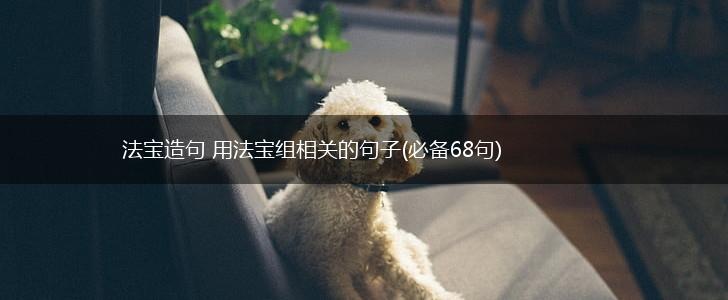 法宝造句 用法宝组相关的句子(必备68句),第1张
