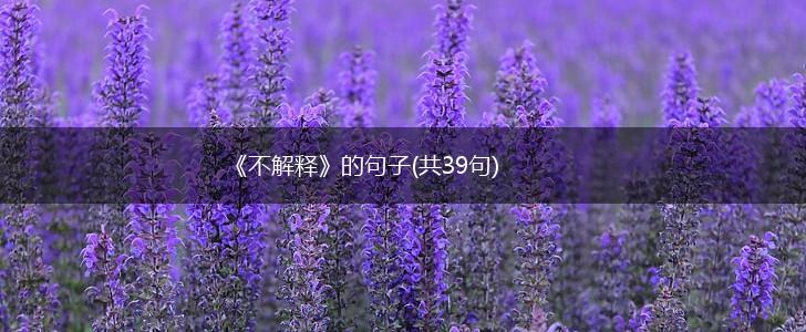 《不解释》的句子(共39句),第1张
