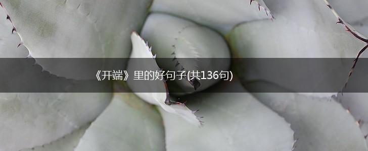 《开端》里的好句子(共136句),第1张