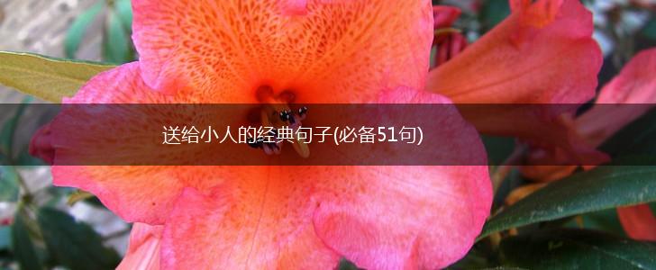 送给小人的经典句子(必备51句),第1张