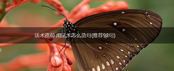 法术造句 用法术怎么造句(推荐98句),第1张