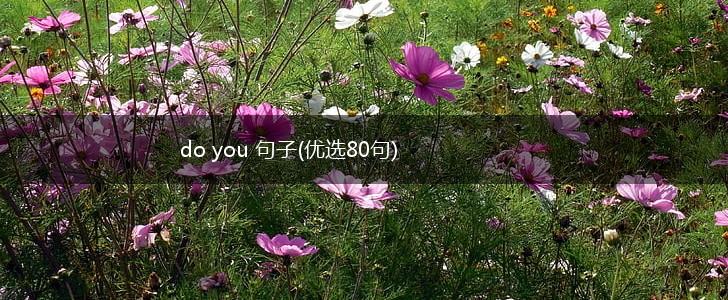 do you 句子(优选80句),第1张