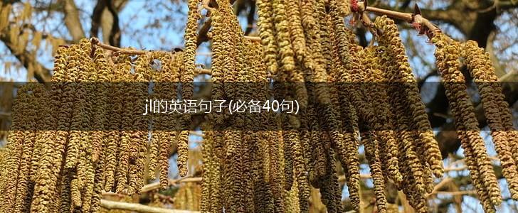 jl的英语句子(必备40句),第1张