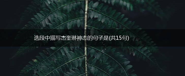选段中描写杰奎琳神态的句子是(共15句),第1张