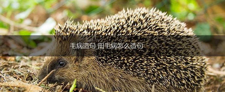 毛病造句 用毛病怎么造句,第1张