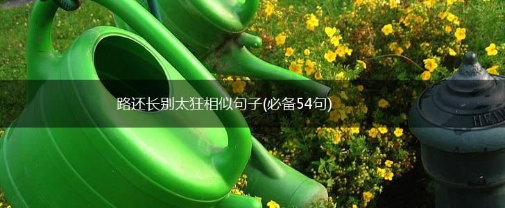 路还长别太狂相似句子(必备54句),第1张