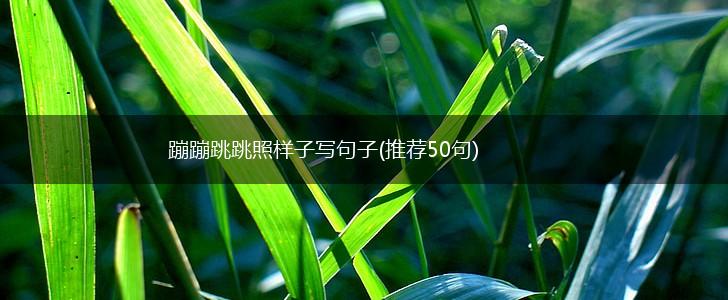 蹦蹦跳跳照样子写句子(推荐50句),第1张