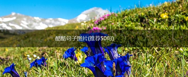 酷酷句子图片(推荐50句),第1张