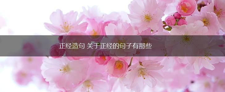 正经造句 关于正经的句子有那些,第1张