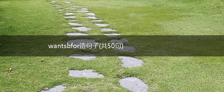 wantsbfor造句子(共50句),第1张