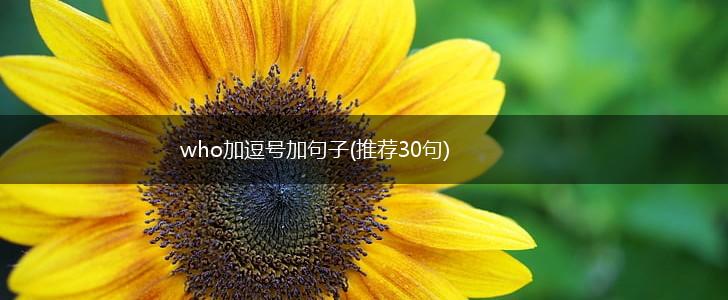 who加逗号加句子(推荐30句),第1张