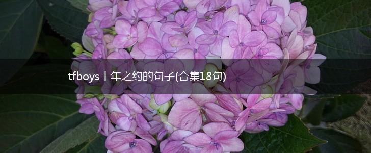 tfboys十年之约的句子(合集18句),第1张