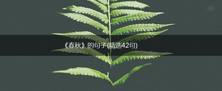 《春秋》的句子(精选42句),第1张