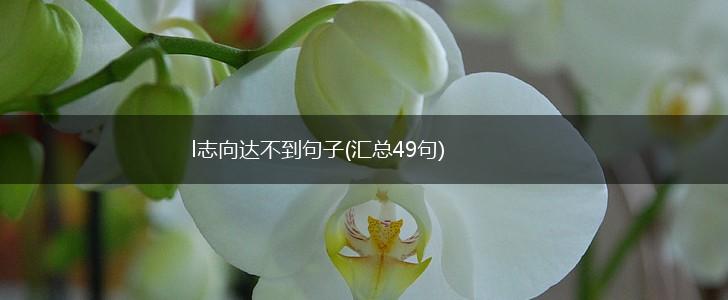 l志向达不到句子(汇总49句),第1张