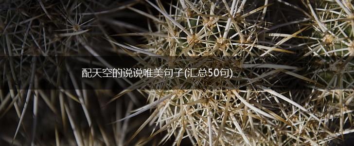 配天空的说说唯美句子(汇总50句),第1张