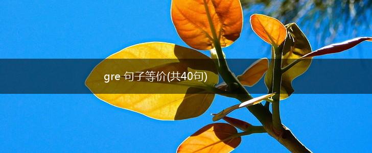 gre 句子等价(共40句),第1张