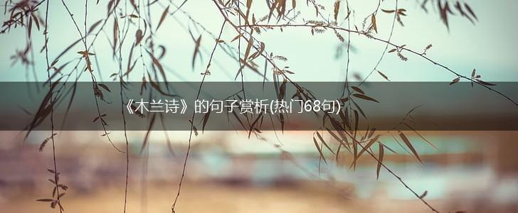 《木兰诗》的句子赏析(热门68句),第1张
