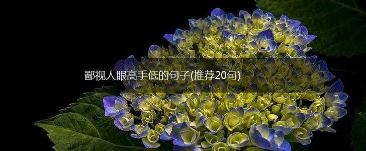 鄙视人眼高手低的句子(推荐20句),第1张