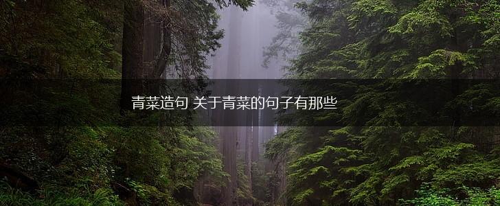 青菜造句 关于青菜的句子有那些,第1张