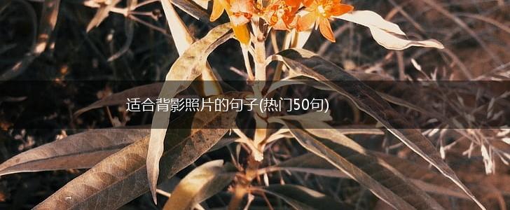 适合背影照片的句子(热门50句),第1张