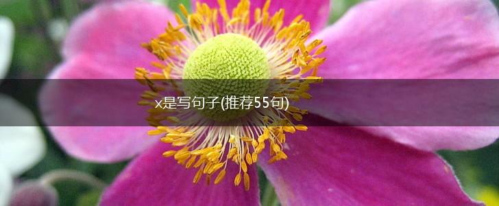 x是写句子(推荐55句),第1张