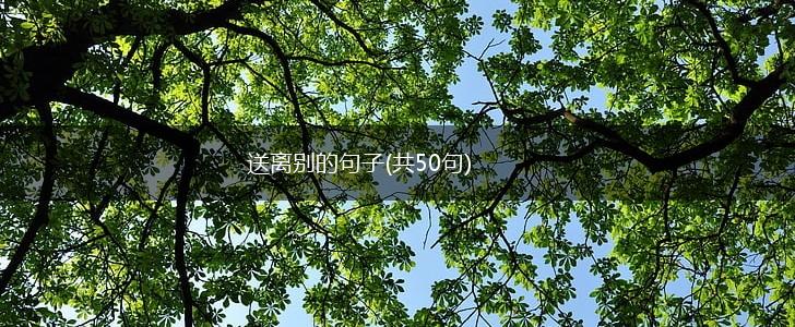 送离别的句子(共50句),第1张